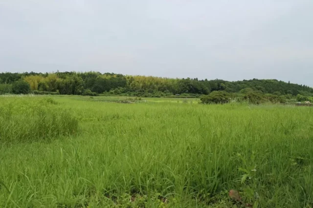 所有者不明土地解消　不動産相続登記の申請義務化されます