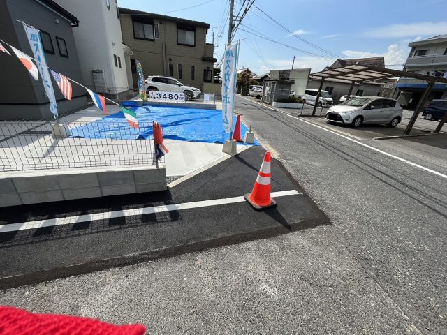 コスモスの日